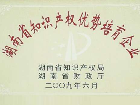 湖南省知识产权优势造就企业